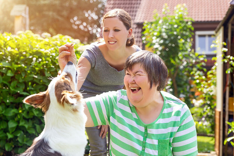 Erfahren Sie tiergestützte Pädagogik mit einem Hund