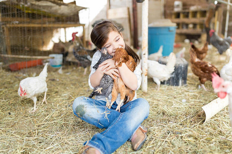 Tiertherapie in Schleswig Holstein